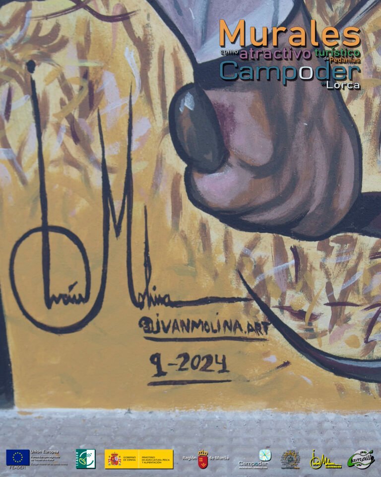 CAMPILLODETALLE000
