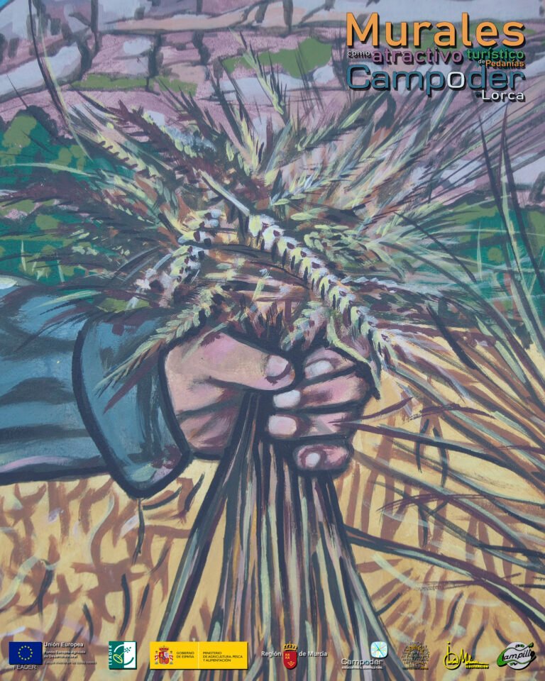 CAMPILLODETALLE006