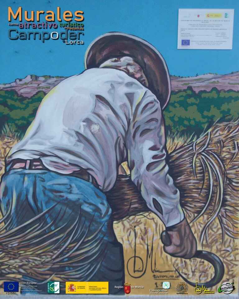 CAMPILLODETALLE008