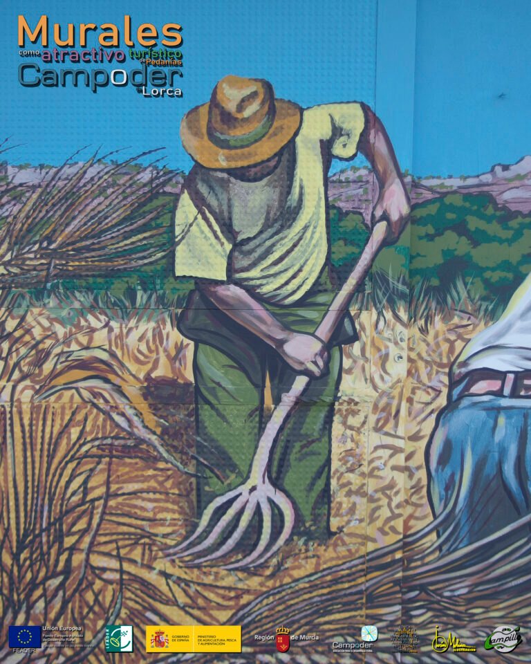 CAMPILLODETALLE009