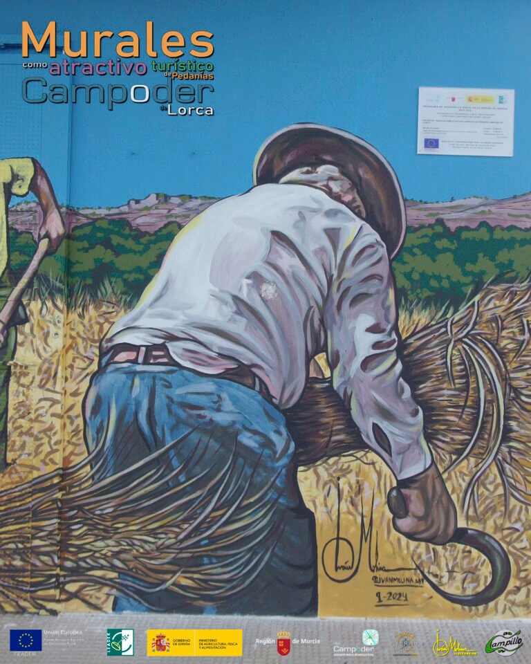 CAMPILLOTERMINADO001
