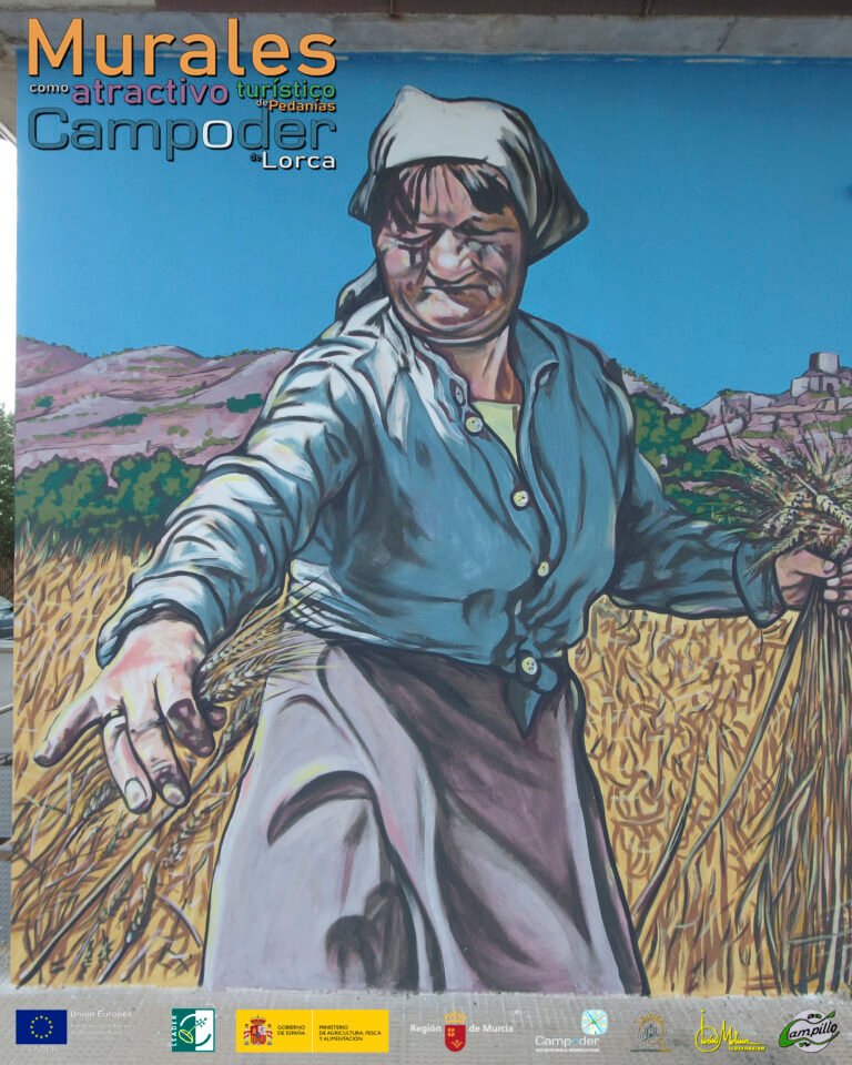 CAMPILLOTERMINADO004